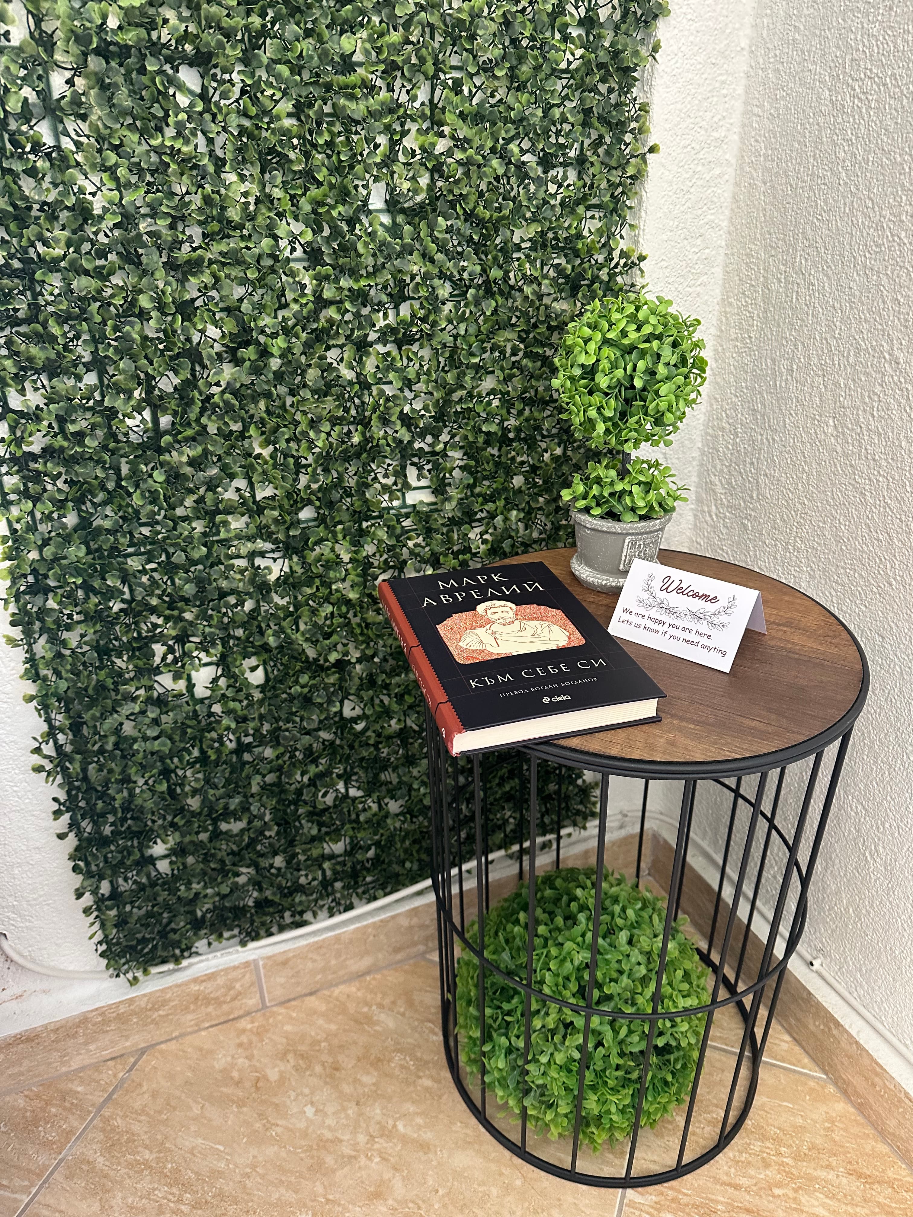 Large terrace view 5